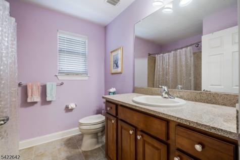 10 Ginkgo Court Franklin NJ 08873