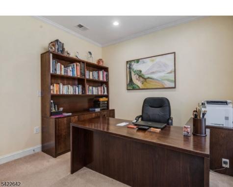 10 Ginkgo Court Franklin NJ 08873