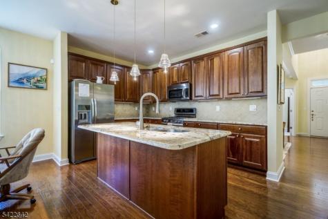 10 Ginkgo Court Franklin NJ 08873