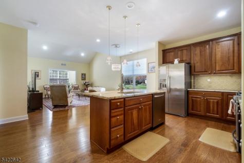 10 Ginkgo Court Franklin NJ 08873