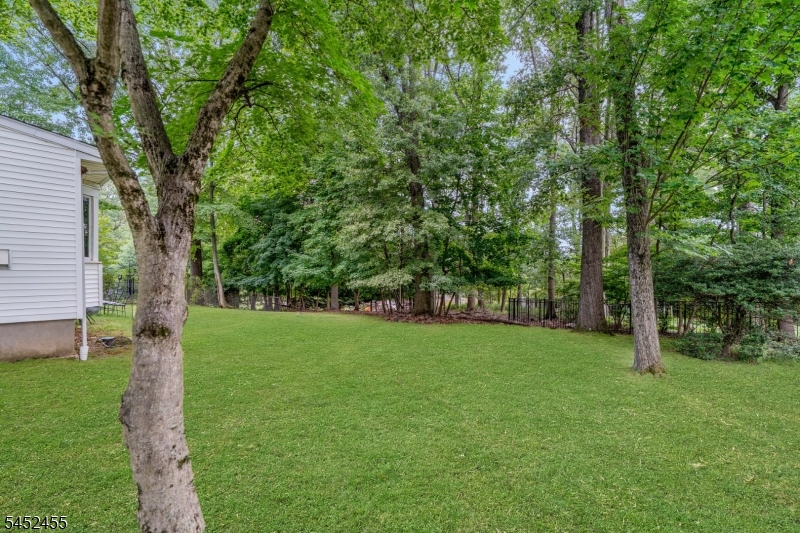 24 Tremont Terrace Livingston NJ 07039