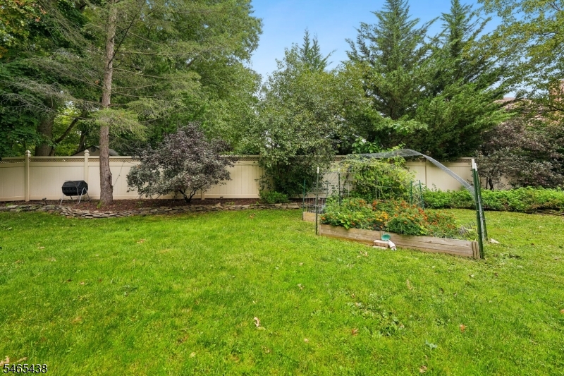 564 Mountain Avenue Springfield NJ 07081
