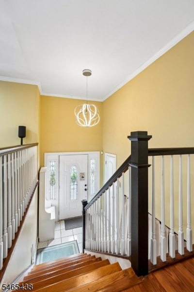 564 Mountain Avenue Springfield NJ 07081