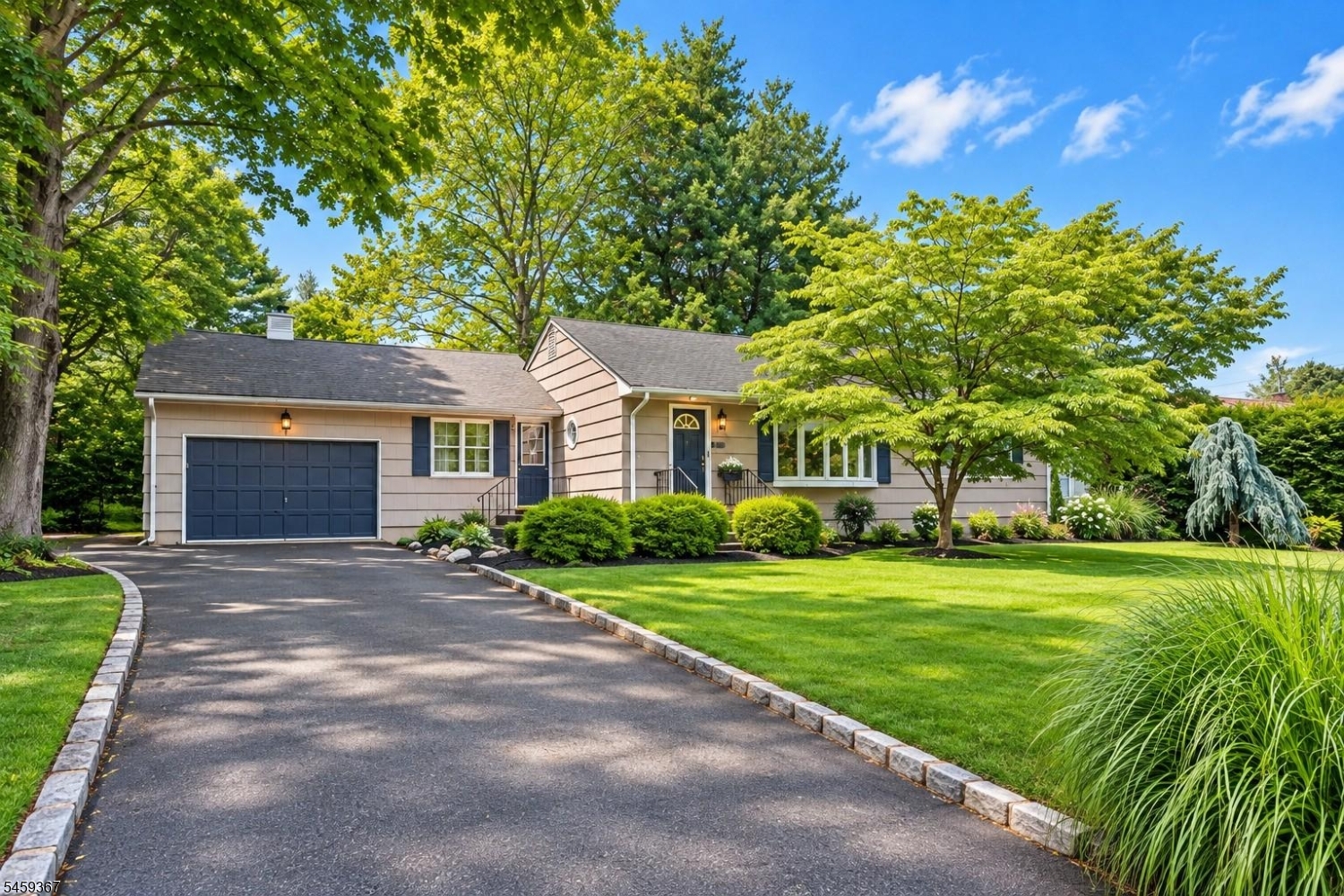 203 Dorchester Street Hanover NJ 07981