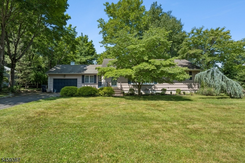 203 Dorchester Street Hanover NJ 07981