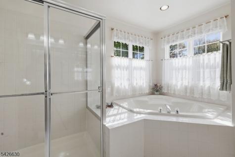 3 Bouwrey Place Readington NJ 08889