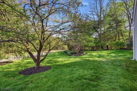 3 Bouwrey Place Readington NJ 08889