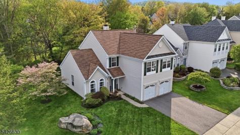 3 Bouwrey Place Readington NJ 08889
