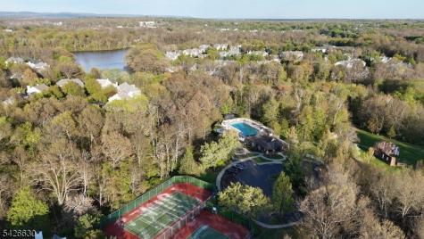 3 Bouwrey Place Readington NJ 08889