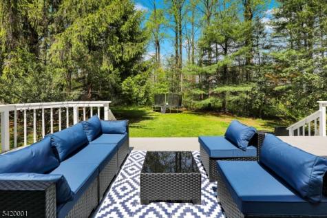 16 Lenape Court Bernards NJ 07920