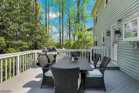 16 Lenape Court Bernards NJ 07920