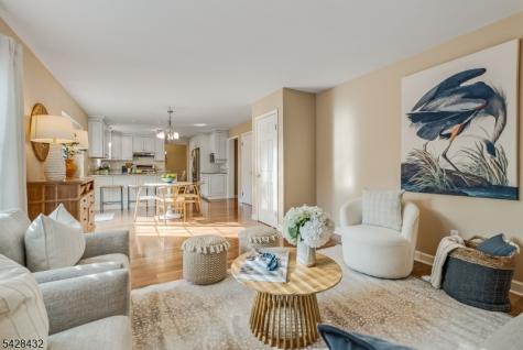 109 Hillside Avenue Bedminster NJ 07921