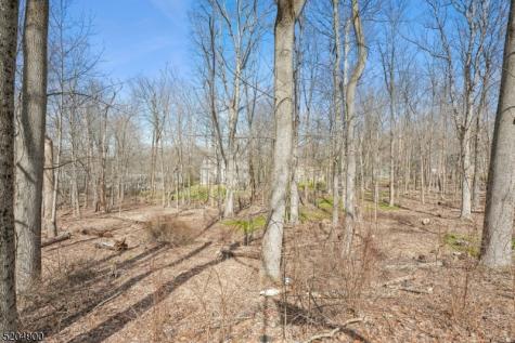 31 Branko Road Berkeley Heights NJ 07922