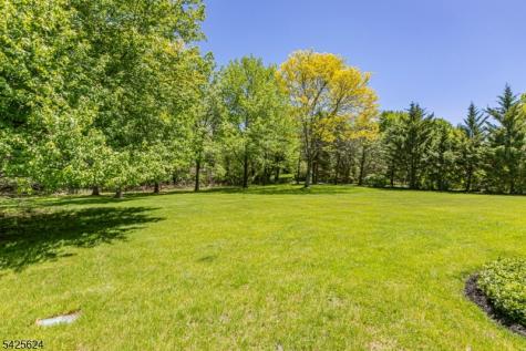 51 Fieldstone Road Montgomery NJ 08558
