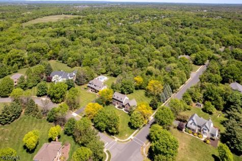 51 Fieldstone Road Montgomery NJ 08558