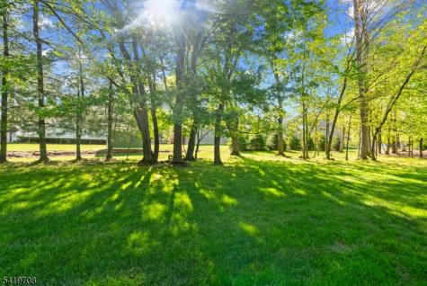 26 Woodshire Terrace Montville NJ 07082