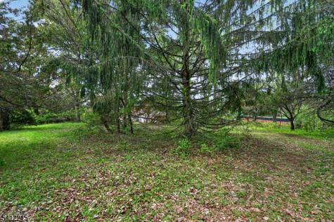1 Mountain View Court Clinton NJ 08833