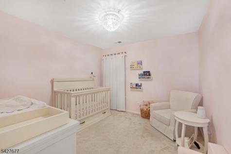 411 Boulder Ridge Drive Randolph NJ 07869