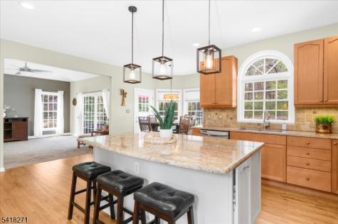 9 Hartley Court Alexandria NJ 08848