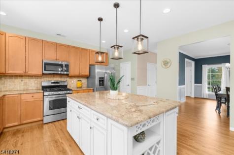 9 Hartley Court Alexandria NJ 08848