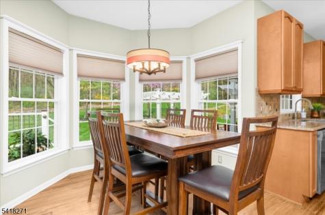 9 Hartley Court Alexandria NJ 08848