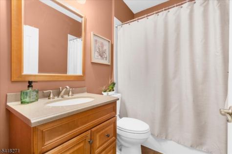 9 Hartley Court Alexandria NJ 08848