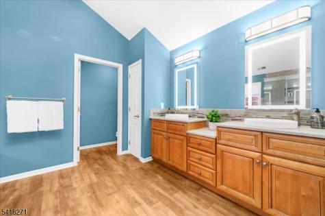9 Hartley Court Alexandria NJ 08848