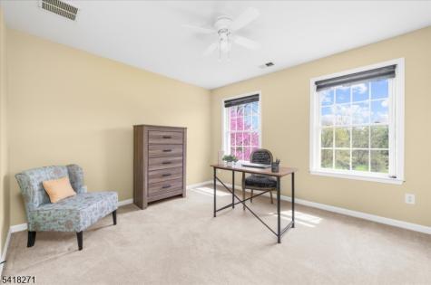 9 Hartley Court Alexandria NJ 08848