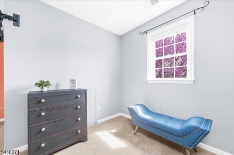9 Hartley Court Alexandria NJ 08848