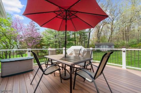 9 Hartley Court Alexandria NJ 08848