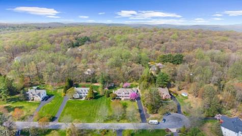 9 Hartley Court Alexandria NJ 08848