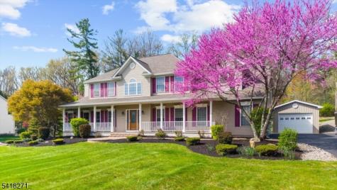 9 Hartley Court Alexandria NJ 08848