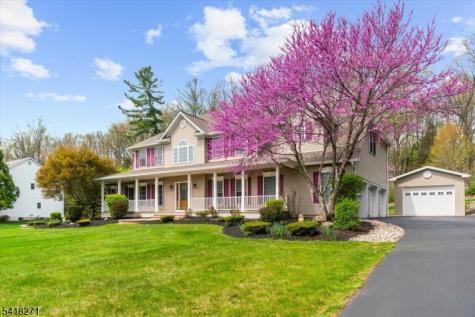 9 Hartley Court Alexandria NJ 08848