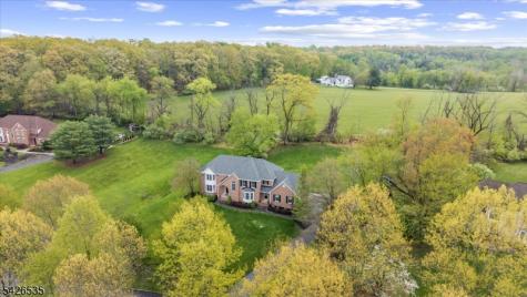 27 Shy Creek Road Alexandria NJ 08867