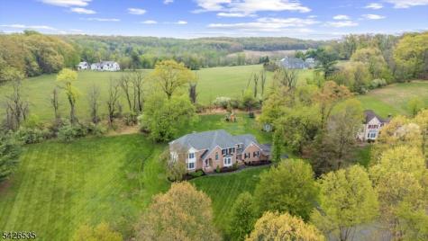 27 Shy Creek Road Alexandria NJ 08867