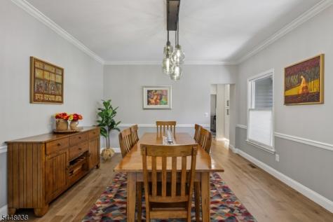 9 Sandpiper Court Montgomery NJ 08558