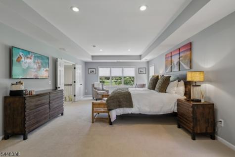 9 Sandpiper Court Montgomery NJ 08558