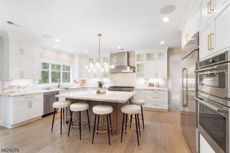 3 Brookside Drive Warren NJ 07059