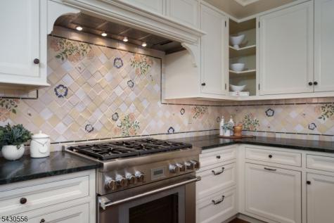 347 Mountain View Road Montgomery NJ 08540