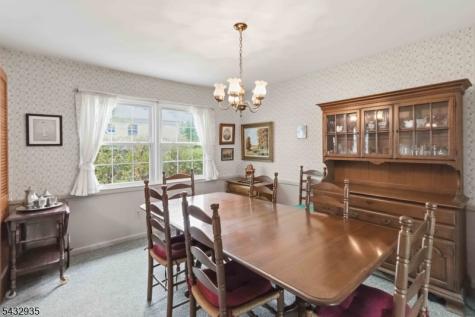 17 Symor Drive Morris NJ 07960