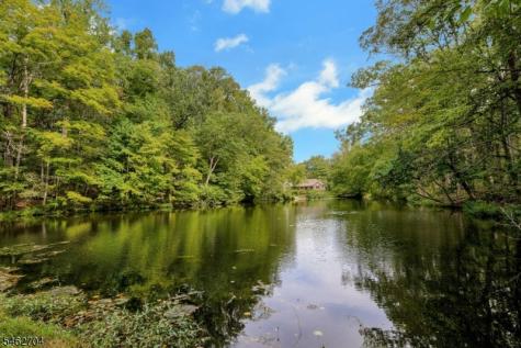 84 Lake Trail E Harding NJ 07976