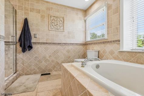 18 Steeple View Court West Amwell NJ 08530