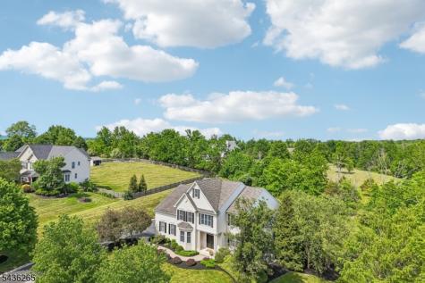 18 Steeple View Court West Amwell NJ 08530