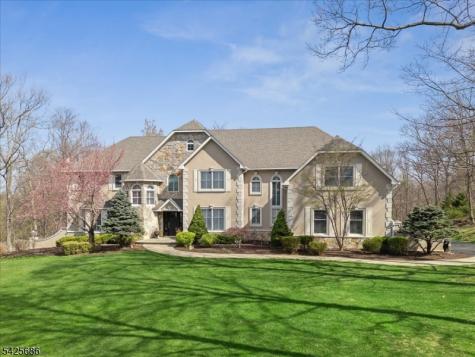 9 Mills Ridge Sparta NJ 07871