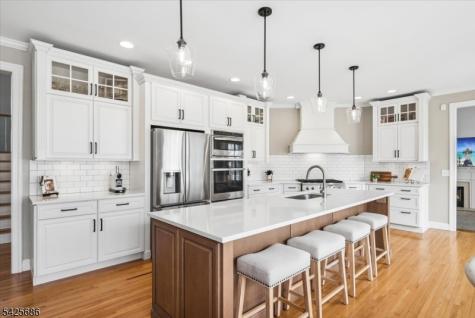 9 Mills Ridge Sparta NJ 07871