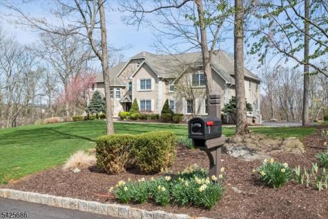 9 Mills Ridge Sparta NJ 07871