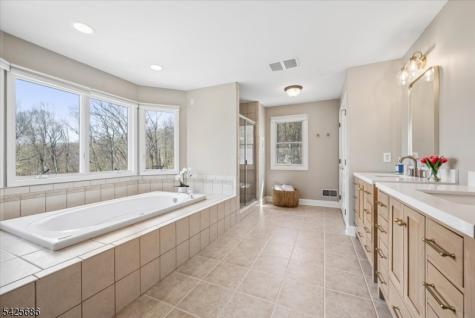 9 Mills Ridge Sparta NJ 07871