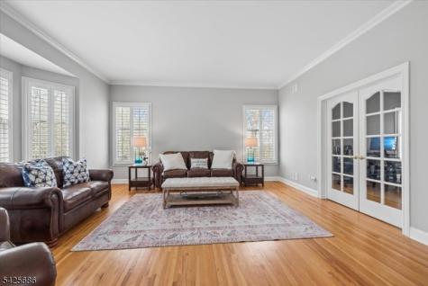 9 Mills Ridge Sparta NJ 07871