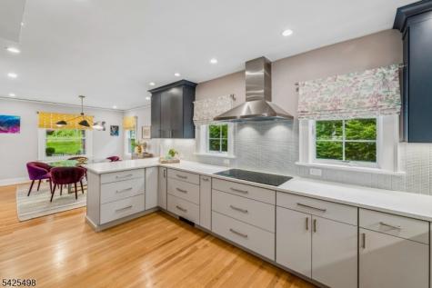 24 Mayhew Drive South Orange Village NJ 07079