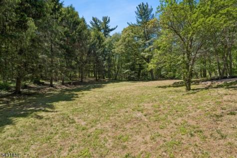 45 Jenks Hill Road Harding NJ 07960